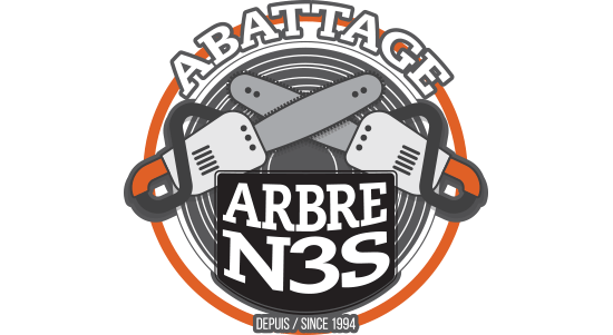logo Arbre N3S